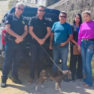Cadela, vítima de maus-tratos, é resgatada pela Polícia Civil em Medeiros Neto