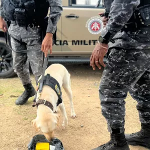 Operação Cerco