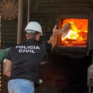 Polícia Civil realiza incineração de aproximadamente 98 quilos de drogas em Medeiros Neto