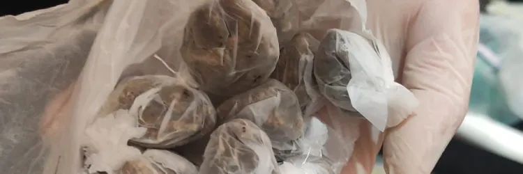 Drogas apreendidas em delegacia