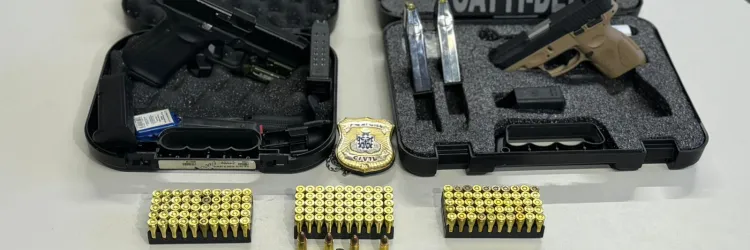 Pistolas e um rifle apreendidos