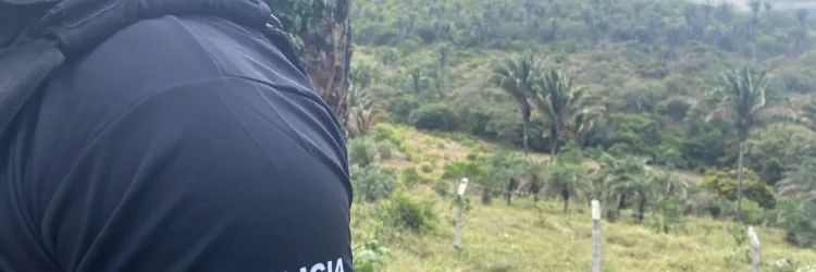 Ele foi localizado na BR-101, na altura do município de Governador Mangabeira