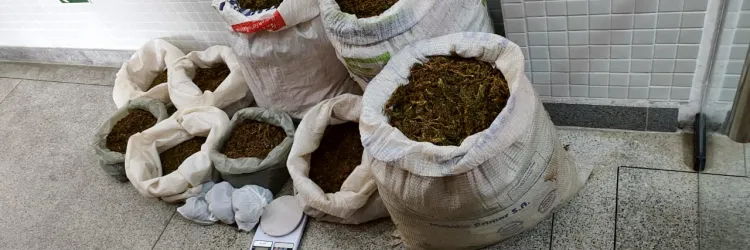 apreensão de drogas 