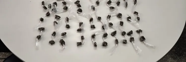 Drogas, dinheiro, relógios e celular foram apreendidos durante a operação