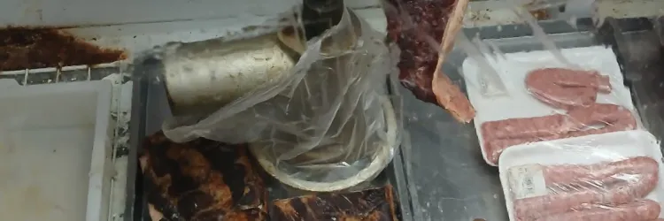 O estabelecimento vendia carnes fora da validade, sem selo de inspeção e em avançado estado de decomposição