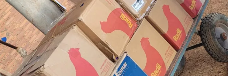 Polícia Civil incinera 500 quilos de drogas em Santa Maria da Vitória