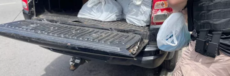 Ação coordenada reuniu 60 policiais para combater crimes como estelionato, propaganda enganosa, lavagem de dinheiro e exercício ilegal da profissão, praticados por empresas de fachada atuantes na capital