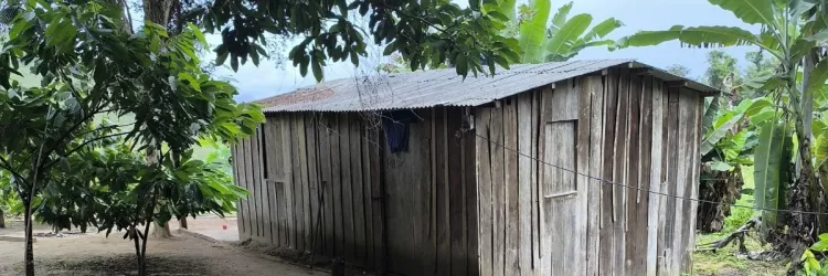 escravidão são resgatados