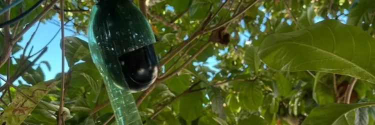 Câmera retirada pela operação