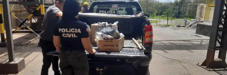 Trinta e um quilos de drogas são incinerados no município de Santo Amaro