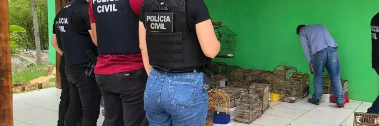 policia civil