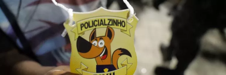 Policia Civil