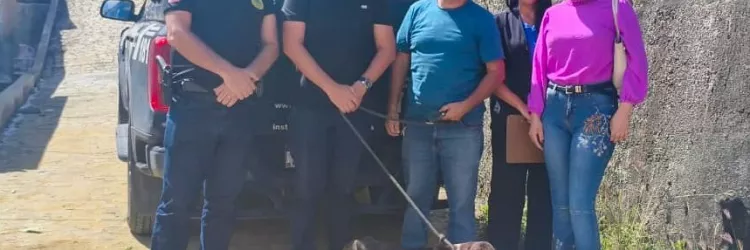 Cadela, vítima de maus-tratos, é resgatada pela Polícia Civil em Medeiros Neto