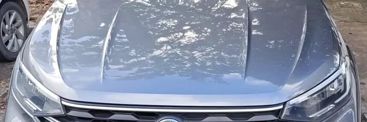 Mulher é presa em flagrante com veículo clonado em Salvador