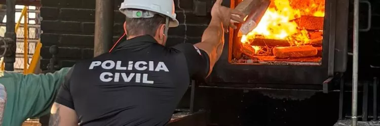 Polícia Civil realiza incineração de aproximadamente 98 quilos de drogas em Medeiros Neto