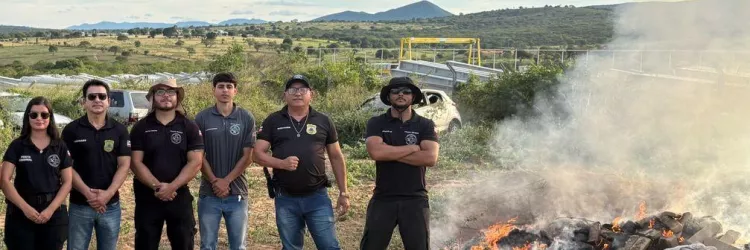 Servidores na incineração