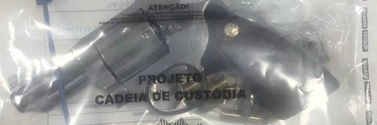 Arma apreendida
