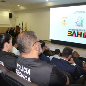 Entrega de Cellebrete