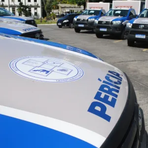 Entregas da Polícia Técnica 