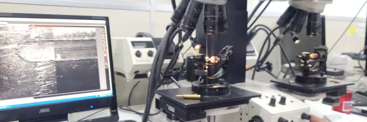 Polícia Técnica conclui perícia de fuzis apreendidos em Abrantes