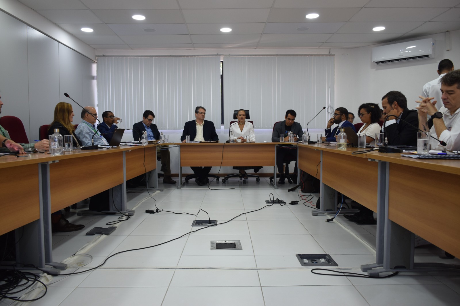 Reunião da Comissão de Consulta Prévia