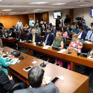 Apresentação do projeto da ponte na ALBA