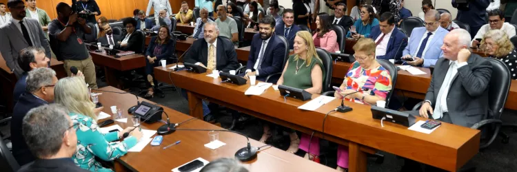 Apresentação do projeto da ponte na ALBA