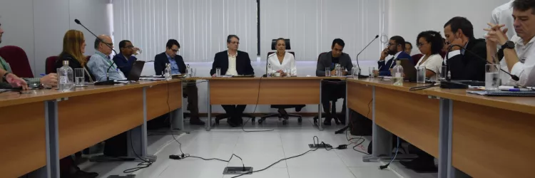 Reunião da Comissão de Consulta Prévia