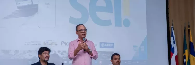 SEI