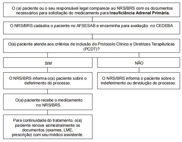 Fluxo de acesso para Núcleos Regionais de Saúde (NRS) e/ou Bases Regionais de Saúde (BRS) - Antigas Dires
