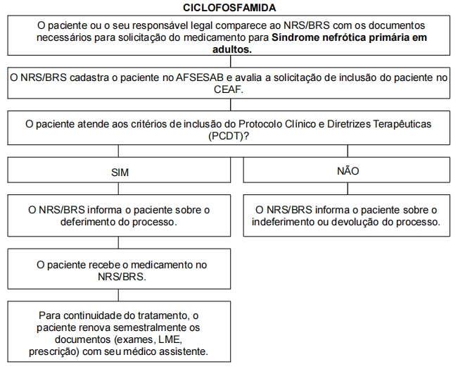 Fluxo de acesso para Núcleos Regionais de Saúde (NRS) e/ou Bases Regionais de Saúde (BRS) - Antigas Dires