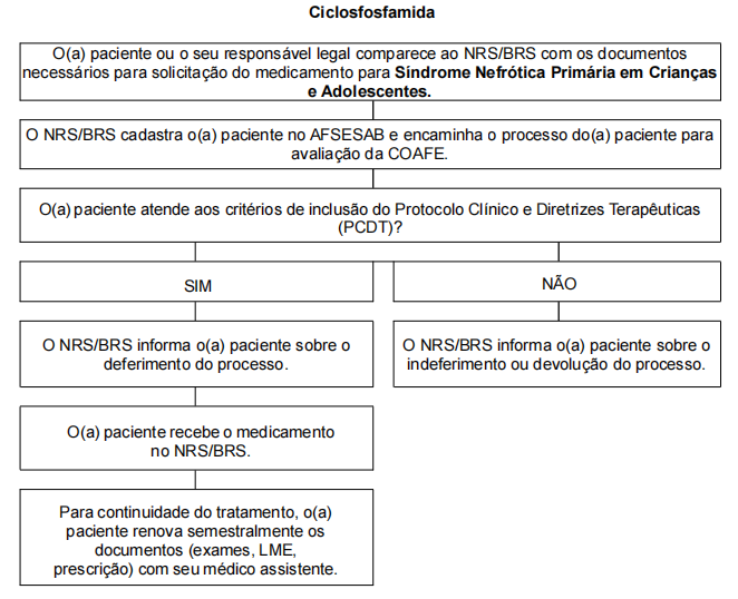 Fluxo de acesso para Núcleos Regionais de Saúde (NRS) e/ou Bases Regionais de Saúde (BRS) - Antigas Dires