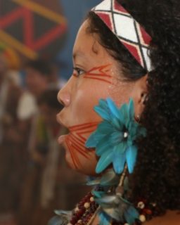 Indígena