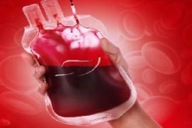 Noticias_sangue