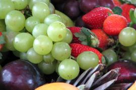 cidadao_usuario_noticias_frutas_alimentacao