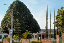 images_Hospital_Frei_Justo_Venture