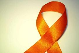 Noticias_simbolo_medula