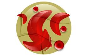 Noticias_seminario_anemia_hemoba