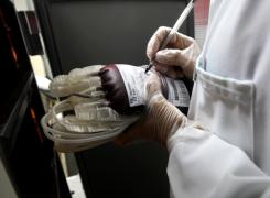 Noticias_plaquetas_sangue