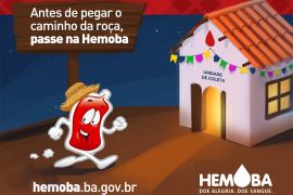 noticias_cidadao_usuario_Forrozao_solidario_2015