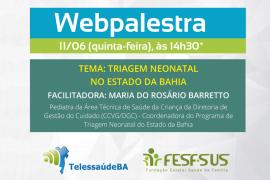 noticias_cidadao_usuario_webpalestra_11_06