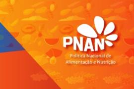 noticias_pnan2011-121005113831-phpapp01-thumbnail-4
