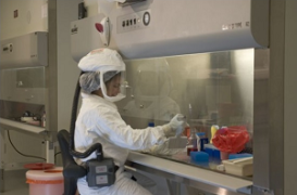 images_lab_nb3