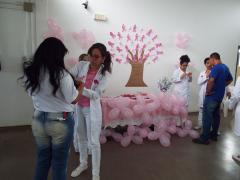 cancer_mama_hgvc