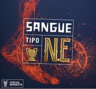 copa_do_nordeste_2018_conceito_marca_6_1.jpg