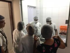 Inspeção Divisa - Alimentos PM 1