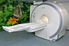 policlinica_alagoinhas (5)