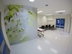 HM_oncologia (11)