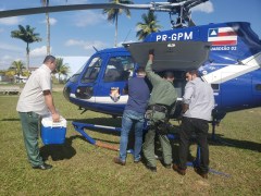 Graer auxilia no transporte de urgência de órgãos para transplantes
