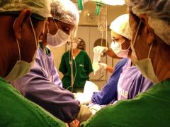 Transplante HGPV - abril 2019